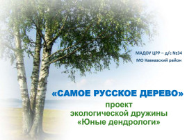 Экологический проект «Самое русское дерево» Экологический проект «Самое русское дерево».